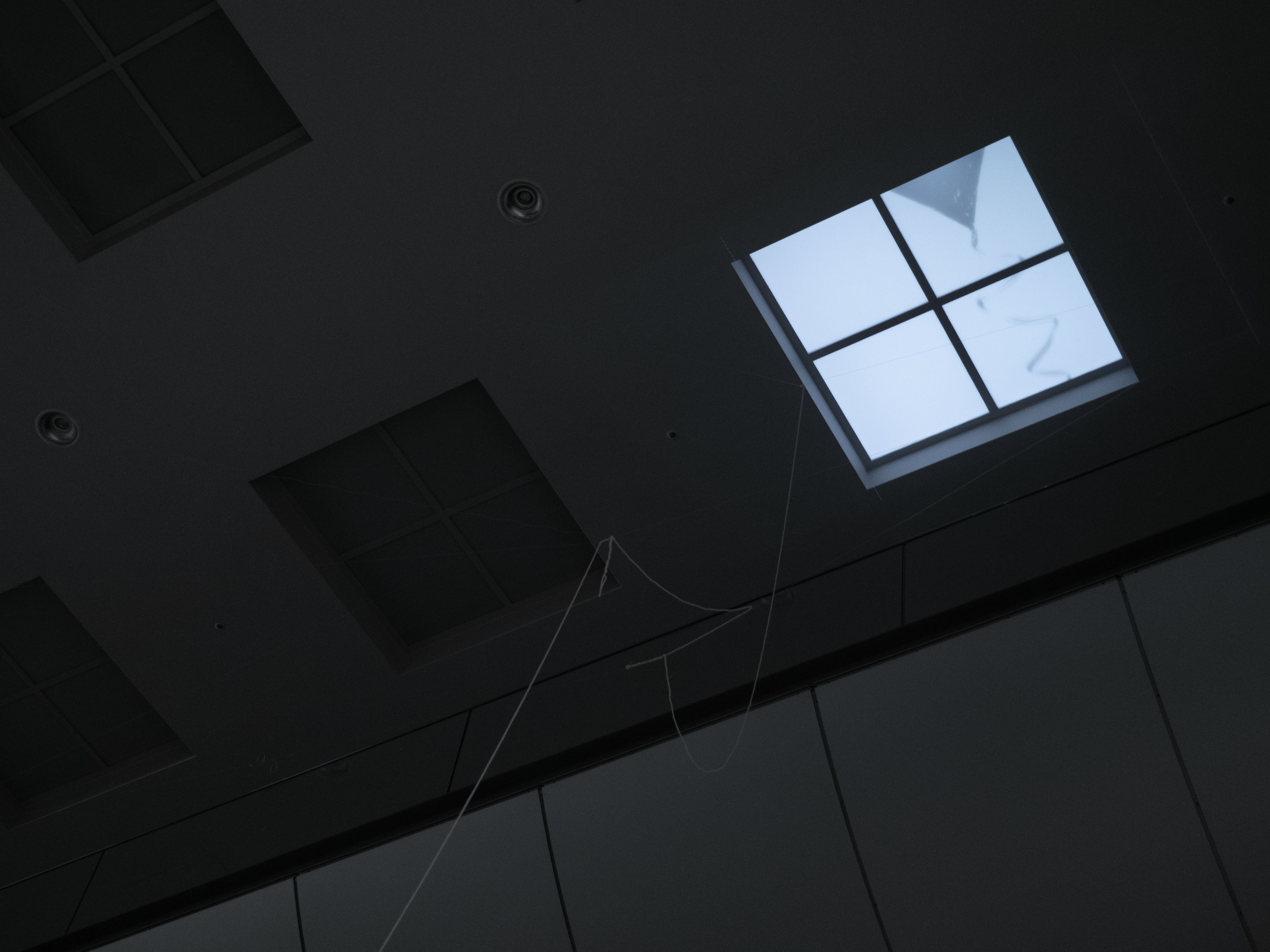 空を飛ぶことなんてできない の作品画像