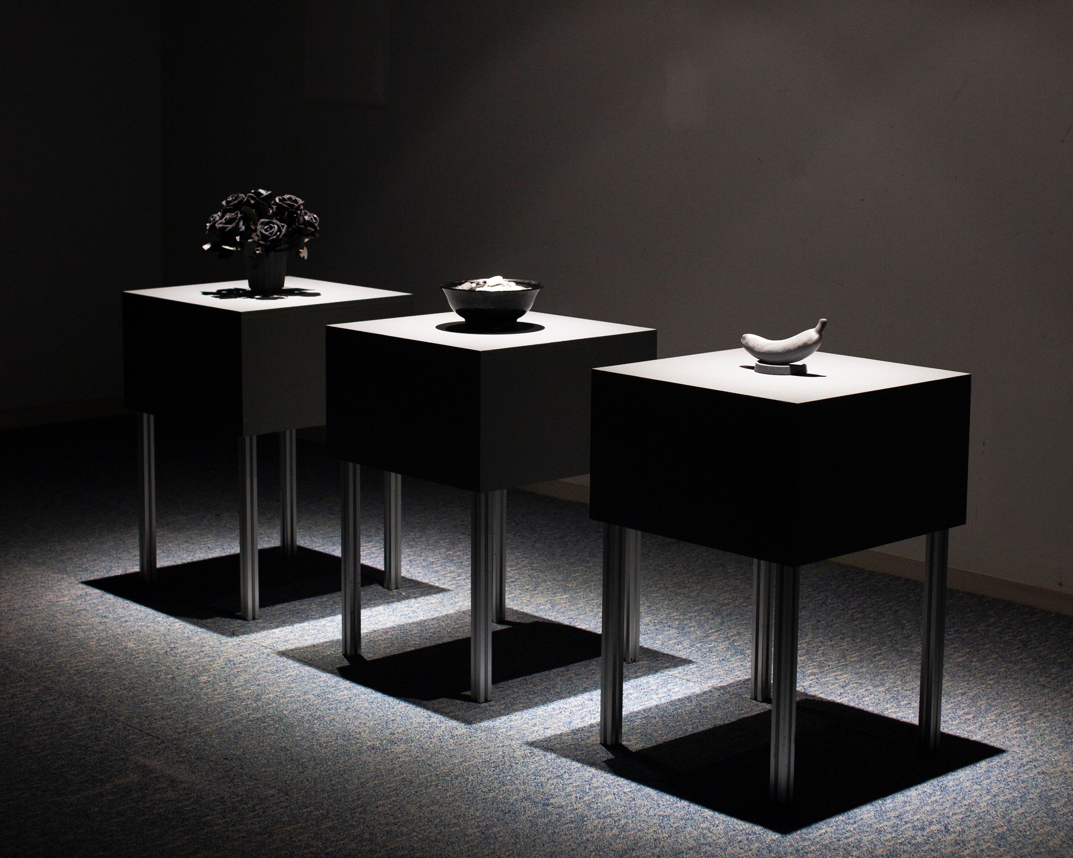 物のイメージ の作品画像