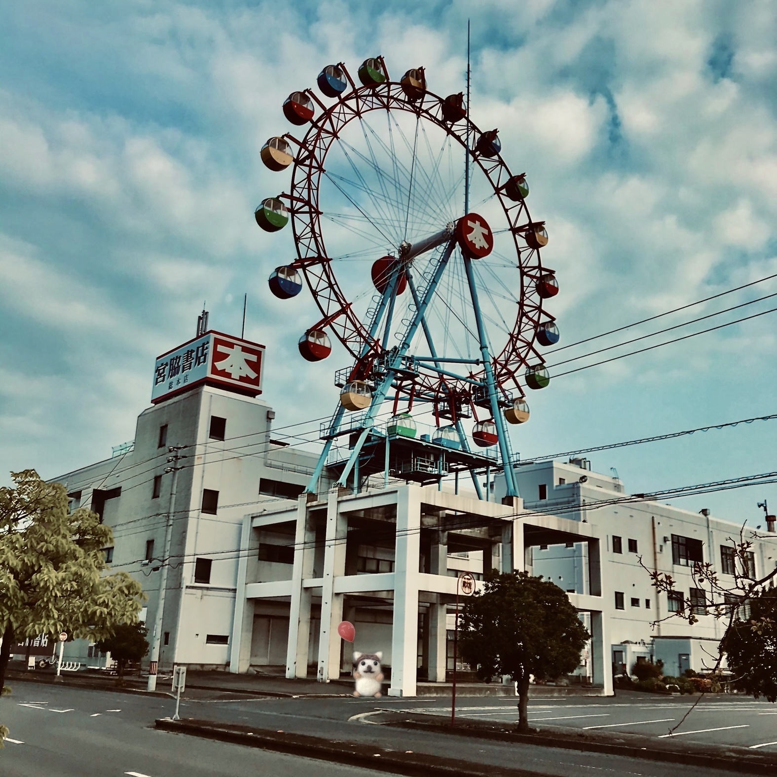 奥野唯織 のプロフィール画像