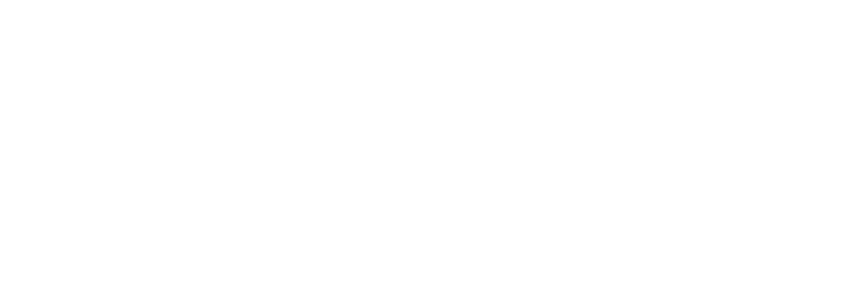 INSTITUTE OF ADVANCED MEDIA ARTS AND SCIENCES